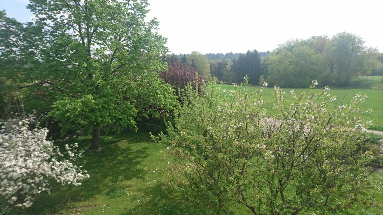 Ferienwohnung Lang Nittenau Bagian luar foto